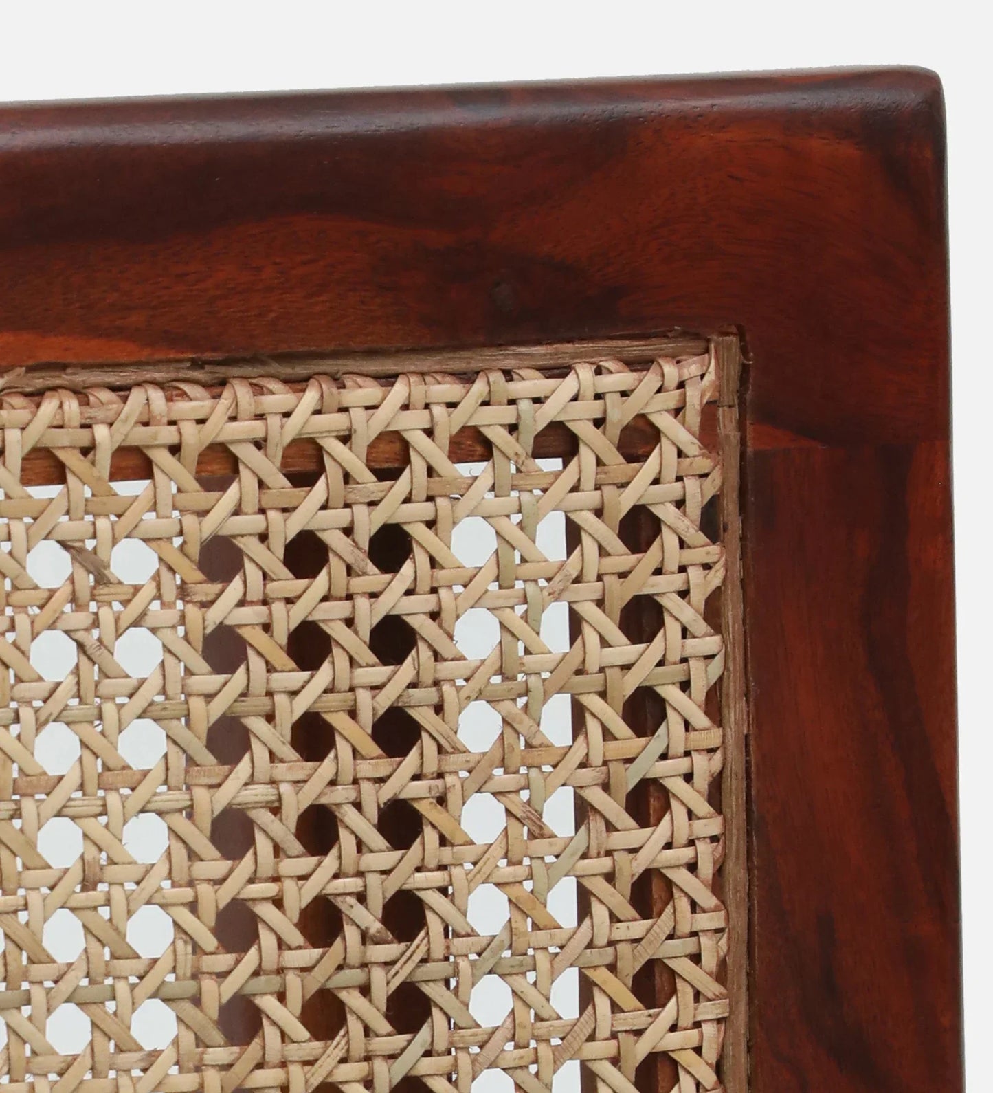 Sheesham Wood Slipper Chairs with Cushion In Honey Oak Finish
